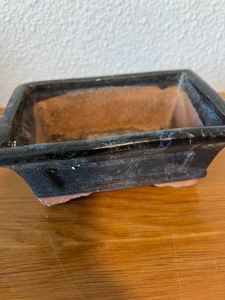 Maceta bonsai cerámica negra y azul