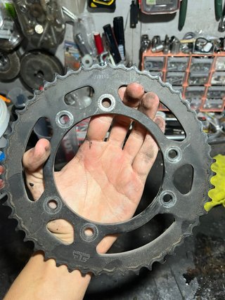 Plato moto 50 dientes JUR1130