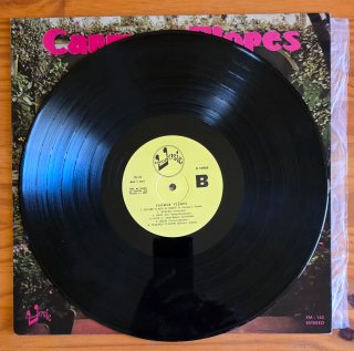 Vinilo Carmen Flores