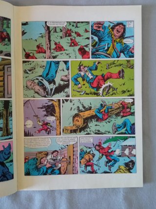 EL CORSARIO DE HIERRO. LOTE DE 10 COMICS DE GRAPA.