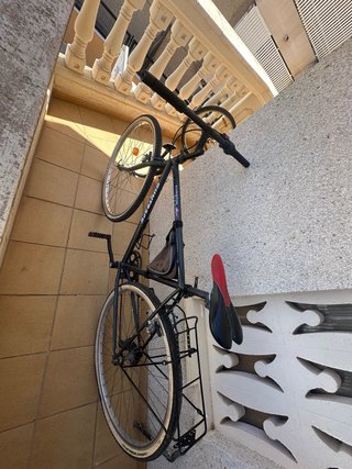 Bicicleta de adulto negra