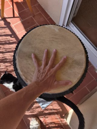 Djembe africano profesional (Yembé)