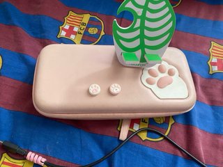 Nintendo Switch Lite Rosa + Accessori