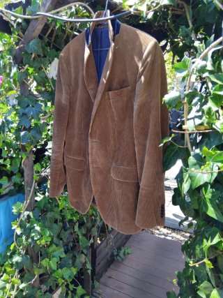 Blazer GANT Castanho Tamanho M