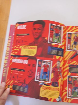 Álbum Cromos Selección Carrefour Panini