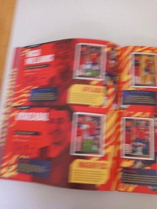 Álbum Cromos Selección Carrefour Panini