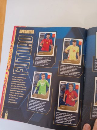 Álbum Cromos Selección Carrefour Panini