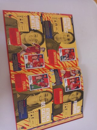 Álbum Cromos Selección Carrefour Panini