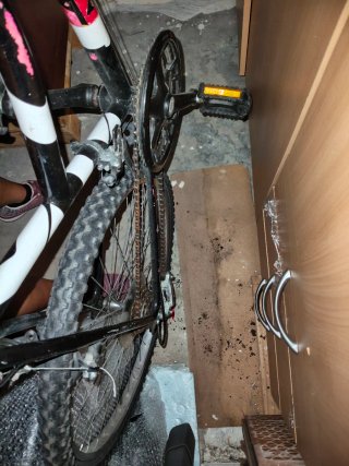 Bicicleta