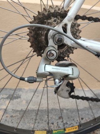 Bicicleta Zeus de Paseo.
