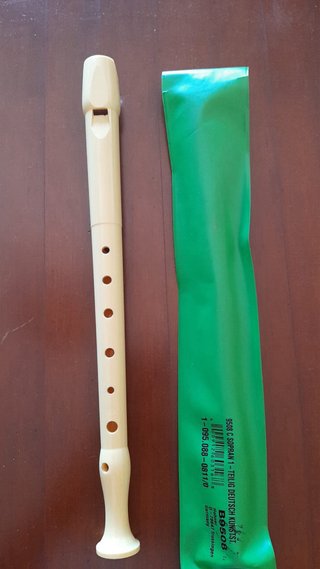 Flauta dulce con funda
