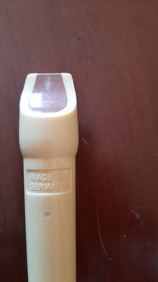 Flauta dulce con funda