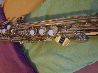 Saxofono Yamaha YSS 475