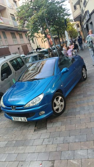 Peugeot 206 2002