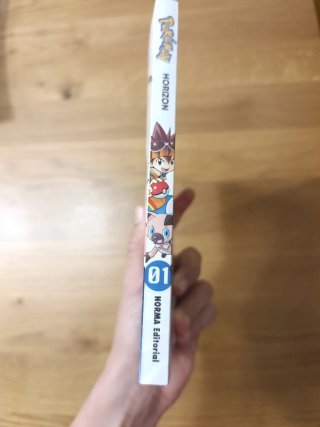 Pokémon horizon 01