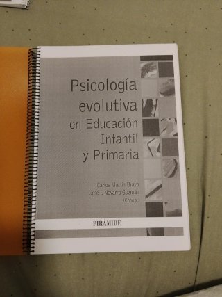Psicología evolutiva en Educación Infantil y Pr...
