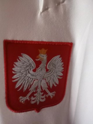 Camiseta Polonia 20/21 Nike,talla S.