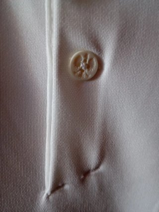 Camiseta Polonia 20/21 Nike,talla S.
