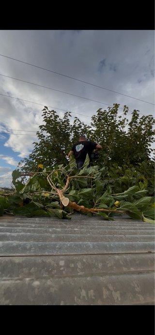 Jardinero