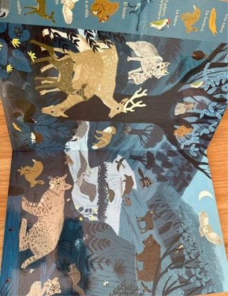 +12 meses. NUEVO Mi primer imaginario de animales