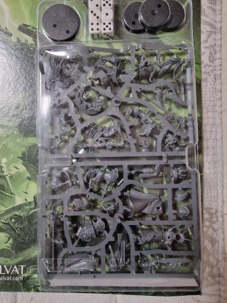 Warhammer Spearhead Salvat 01