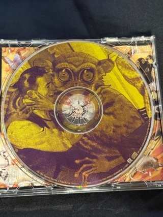 CD Green Day Insomniac 1995