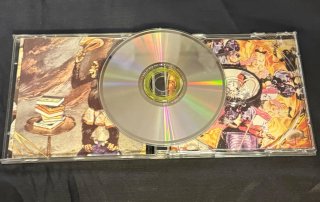 CD Green Day Insomniac 1995