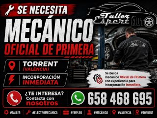 Oferta de empleo, incorporación inmediata