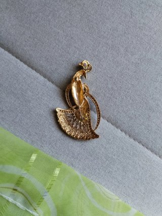 Broche e foulard con pavo real