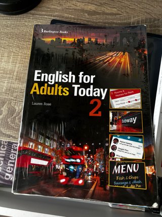 Ingles profesional