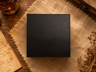 Caja para reloj negra con cojín