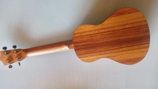 Ukelele Flight