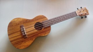 Ukelele Flight