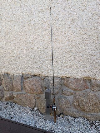 Caña de Pesca Bass Pro Shops + Carrete Daiwa