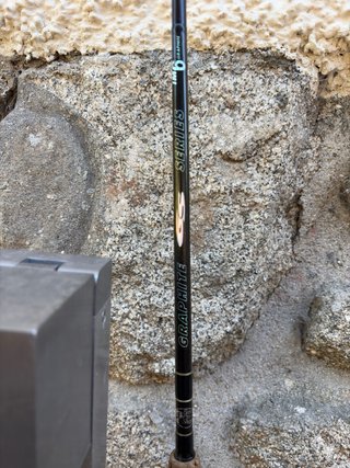 Caña de Pesca Bass Pro Shops + Carrete Daiwa
