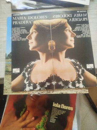 Vinilos de flamenco