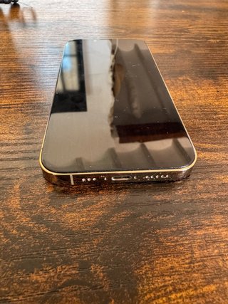 iPhone 13 Pro Oro/Argento