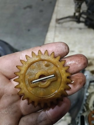 Piñón Bomba Agua