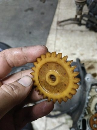 Piñón Bomba Agua