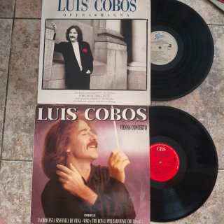 Lote 10 Vinilos LP Éxitos Años 70/80