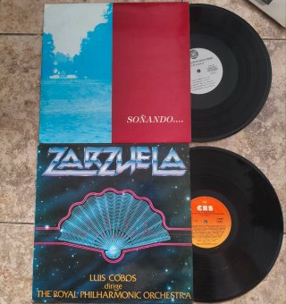 Lote 10 Vinilos LP Éxitos Años 70/80