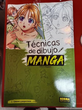 Técnicas de dibujo manga 2 : cánones y proporci...