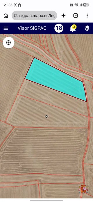 Lote de tierras de secano en magacela