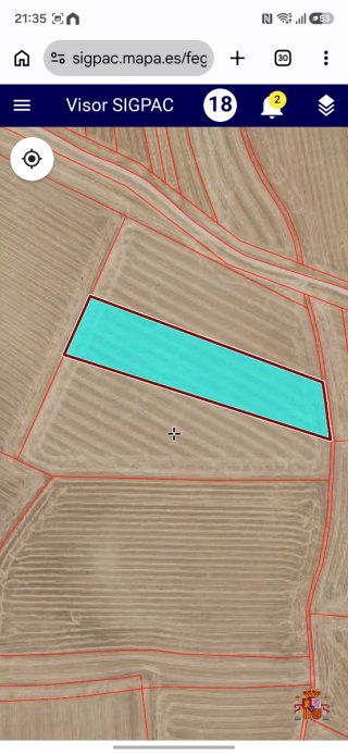 Lote de tierras de secano en magacela