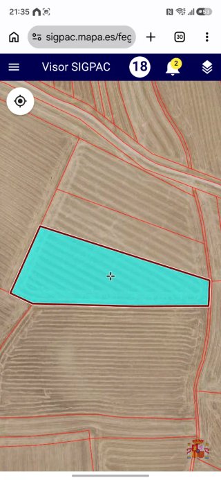 Lote de tierras de secano en magacela