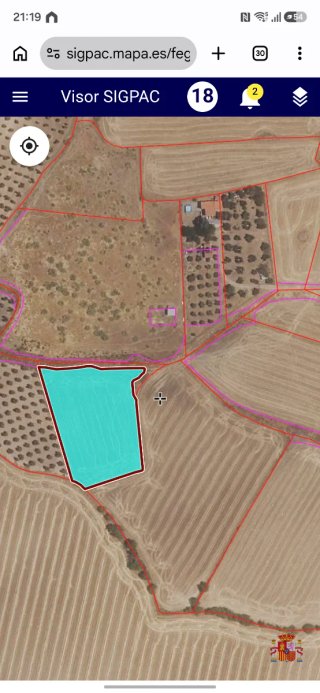 Lote de tierras de secano en magacela