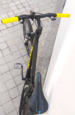 Bicicleta Negra Montaña