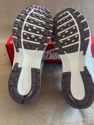 Nike P6000 Plata y Blanco