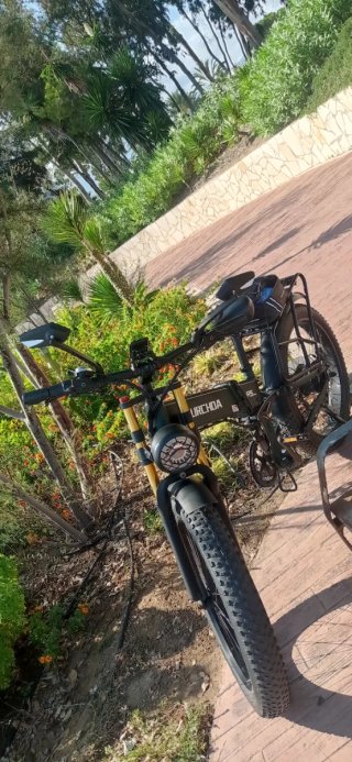 Bicicleta Eléctrica Fat Bike
