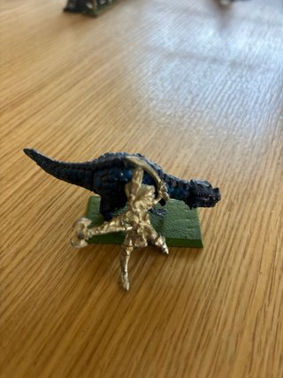 Hechicera Elfa Oscura Gélido Warhammer